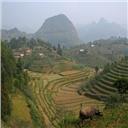 Bac Ha 5